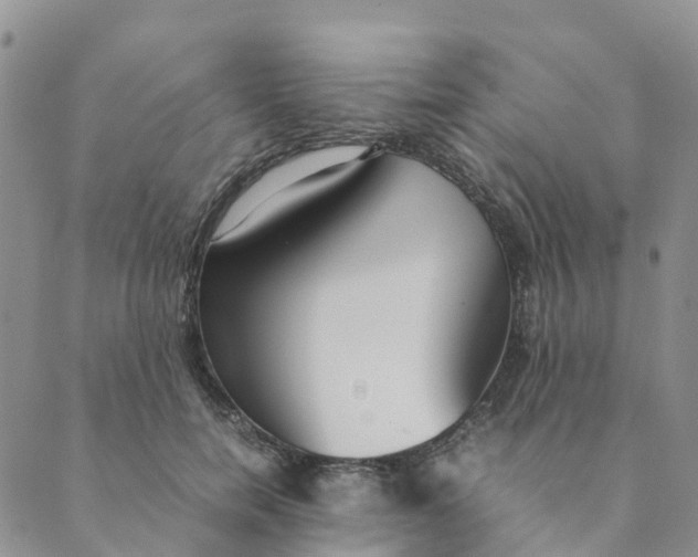 X0000089360750200707061049