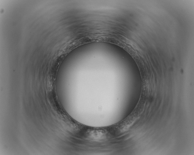 X0000089360751200707061049