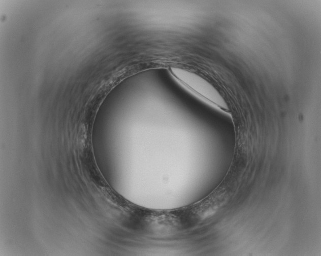 X0000089360752200707061049