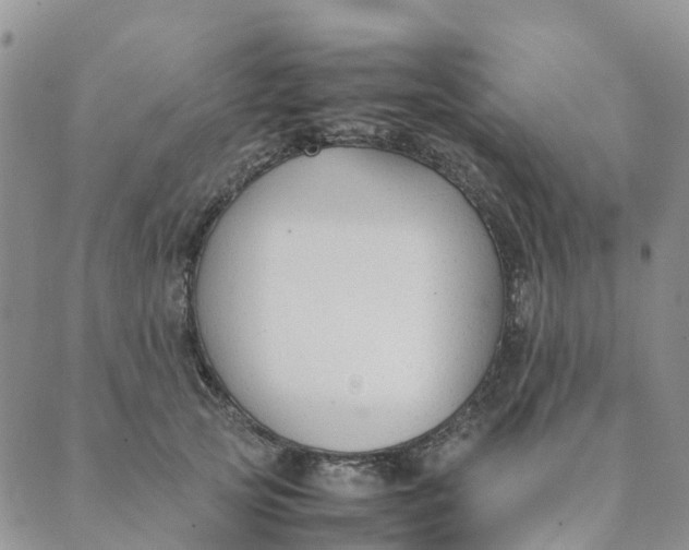 X0000089360753200707061049