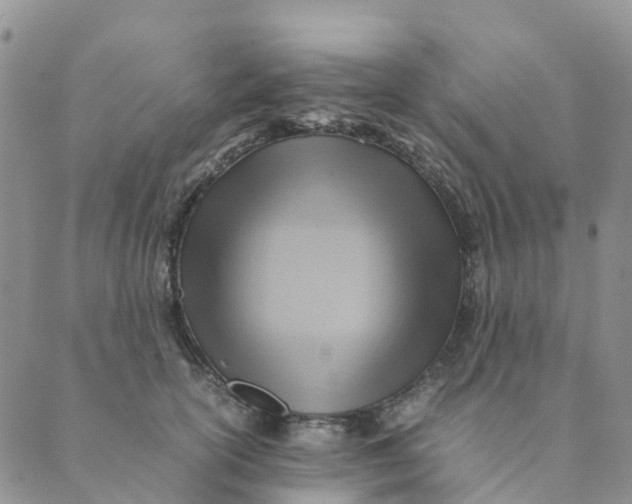 X0000089360754200707061049