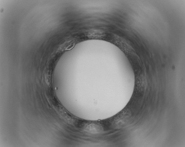 X0000089360755200707061049