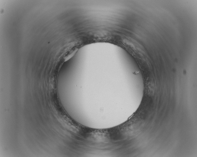 X0000089360756200707061049