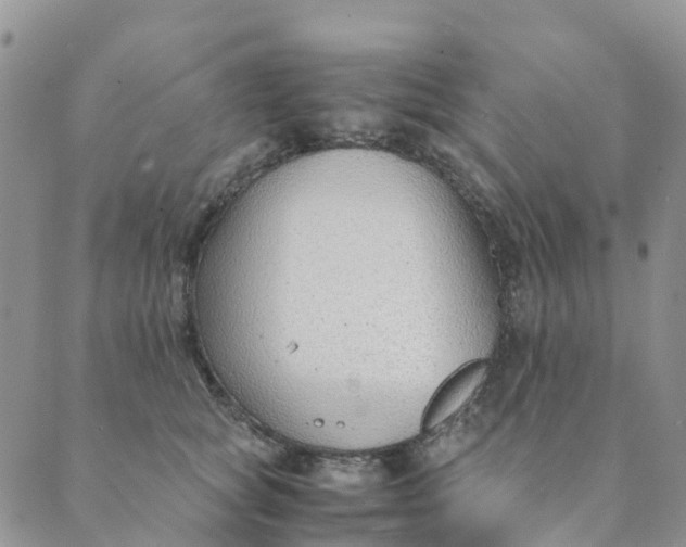 X0000089360757200707061049