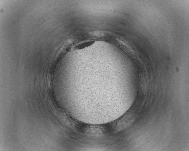 X0000089360758200707061049