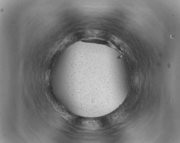 X0000089360759200707061049