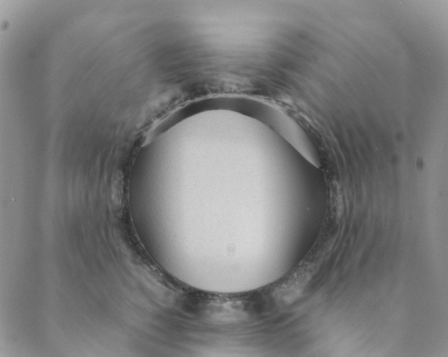 X0000089360760200707061049