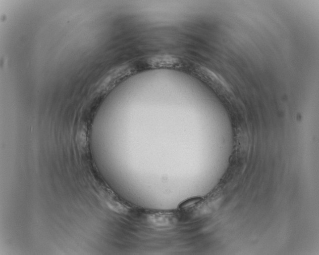 X0000089360761200707061049