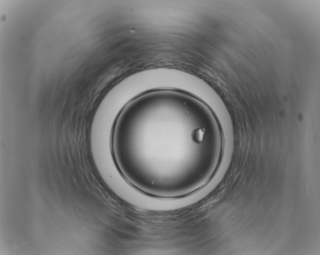 X0000089360762200707061049