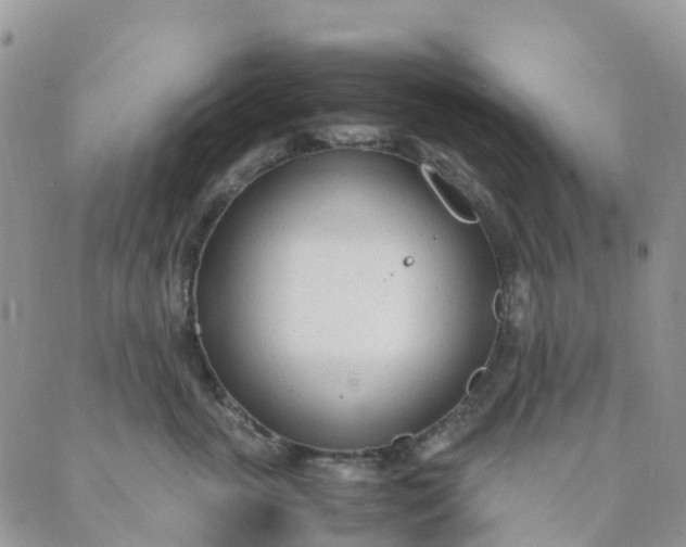 X0000089360763200707061049