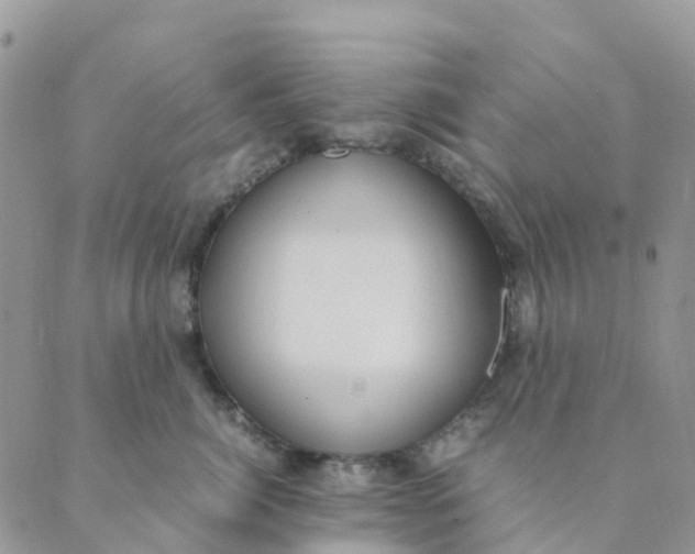 X0000089360764200707061049