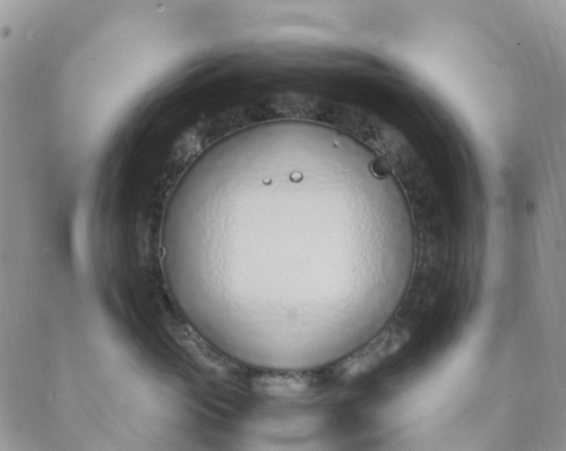 X0000089360765200707061049