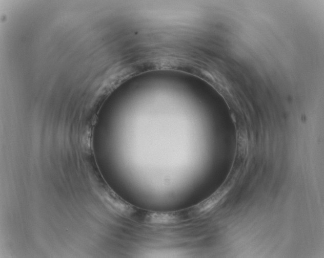 X0000089360766200707061049