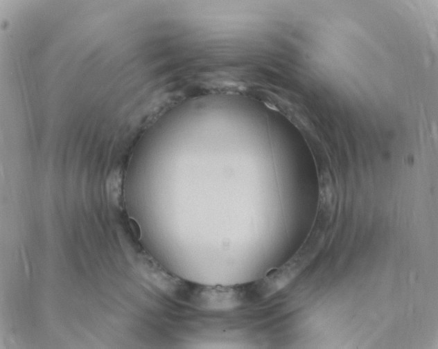 X0000089360767200707061049