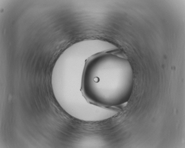 X0000089360768200707061049