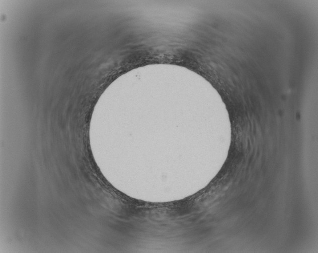 X0000089360769200707061048