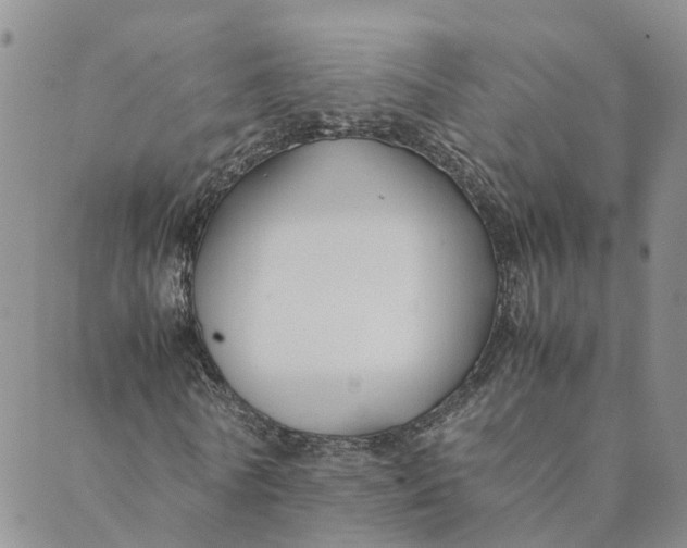 X0000089360770200707061048