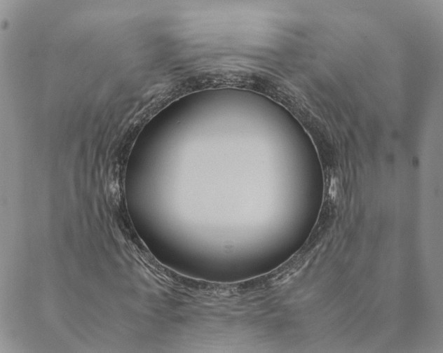 X0000089360771200707061048