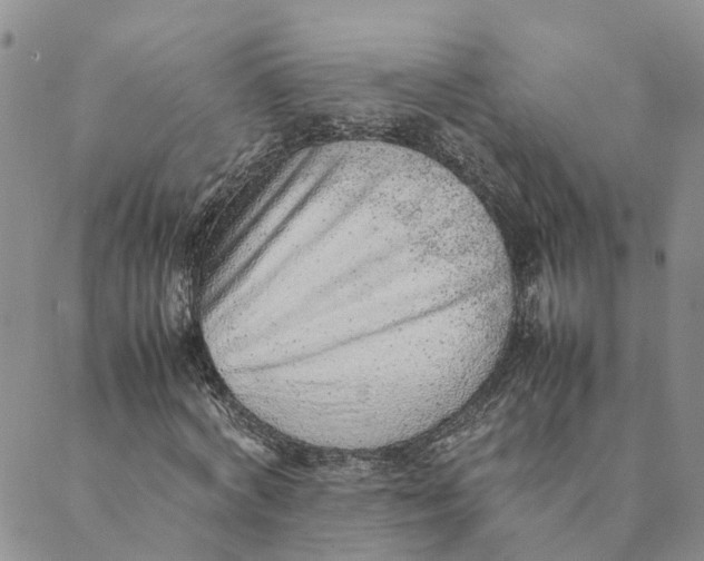 X0000089360772200707061048