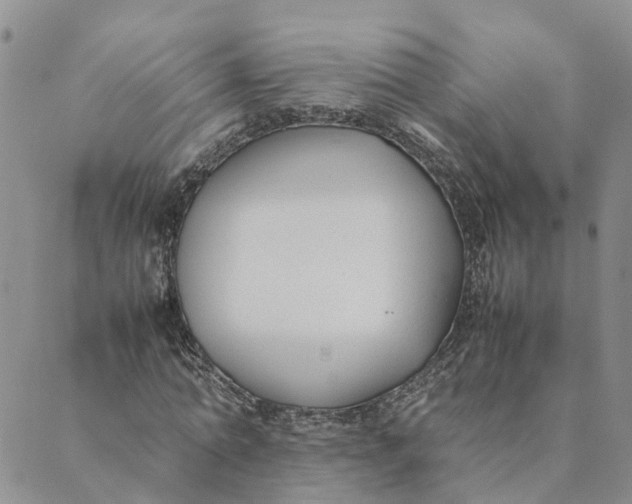 X0000089360774200707061048