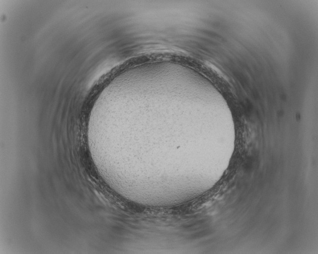 X0000089360775200707061048