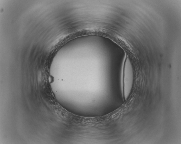 X0000089360776200707061048