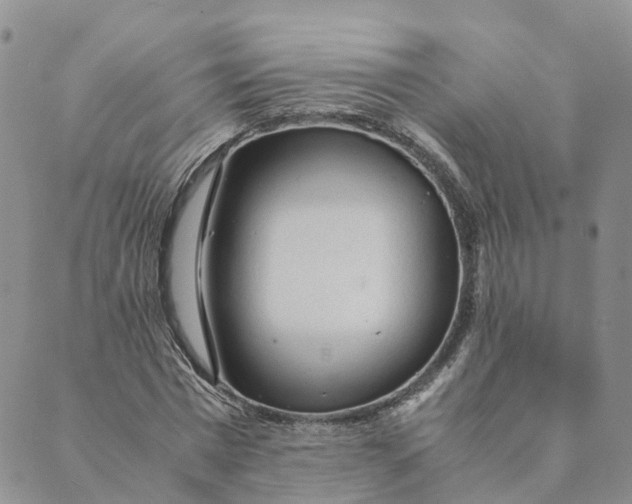 X0000089360777200707061048