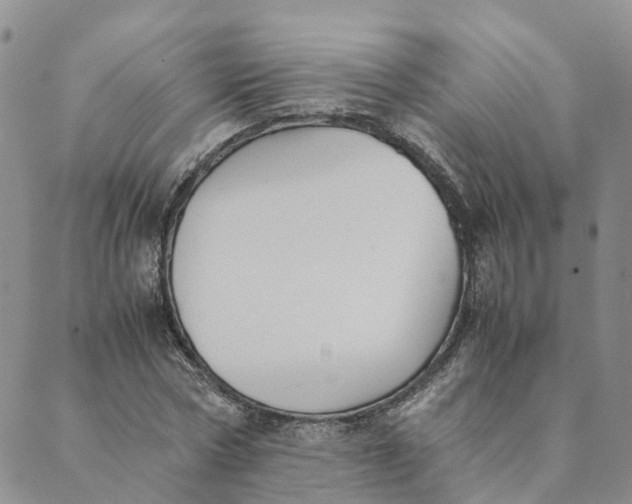 X0000089360778200707061048