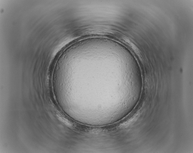 X0000089360779200707061048