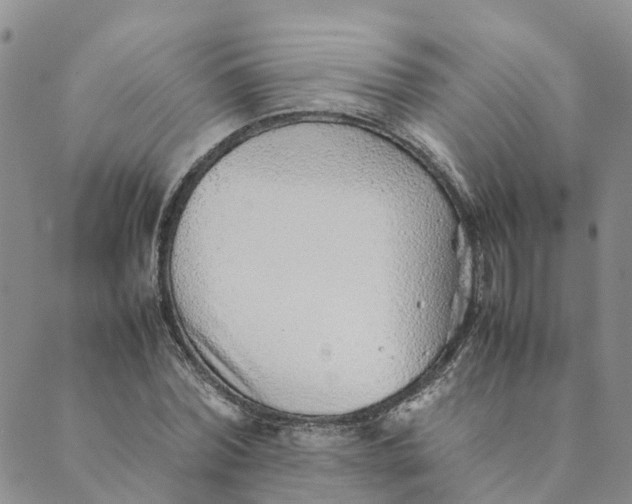 X0000089360780200707061048