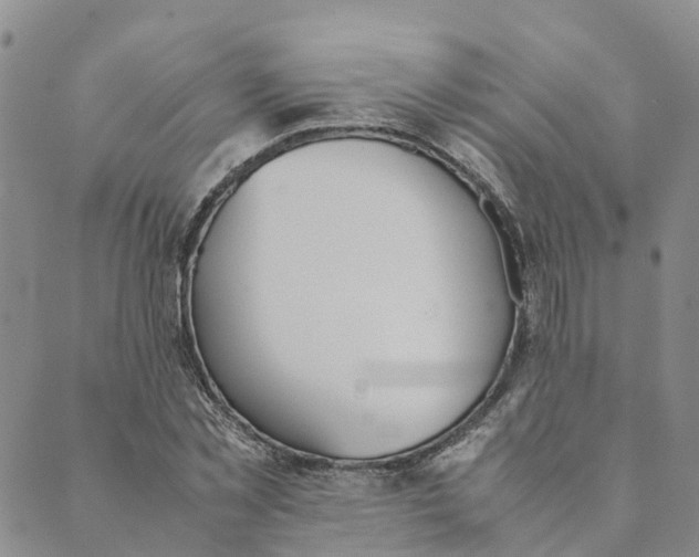 X0000089360781200707061048