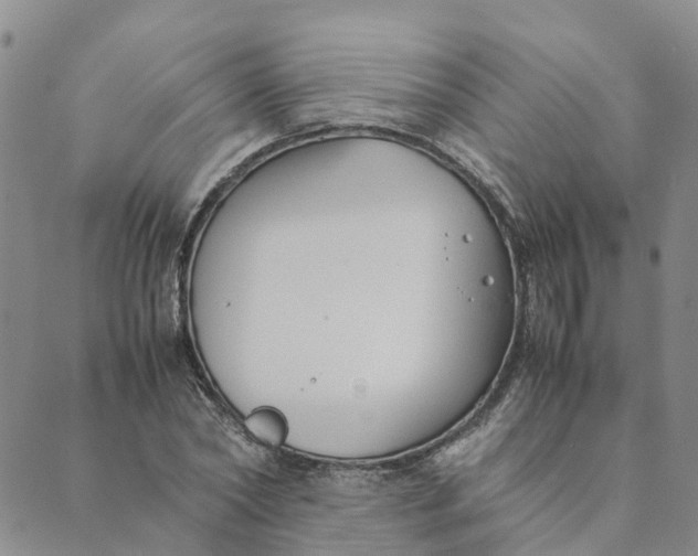 X0000089360782200707061048