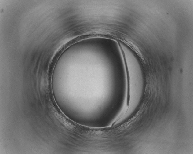 X0000089360784200707061048