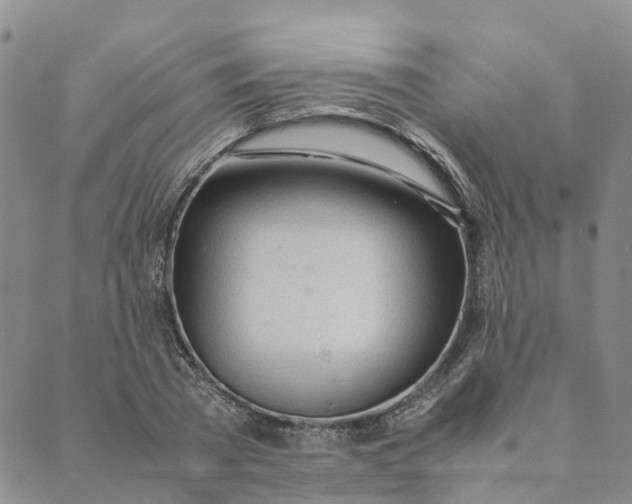 X0000089360785200707061048