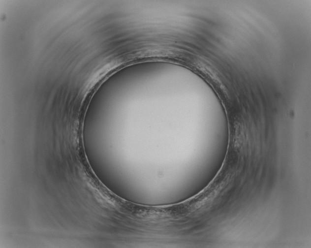 X0000089360786200707061048