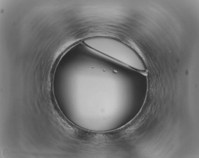 X0000089360787200707061048