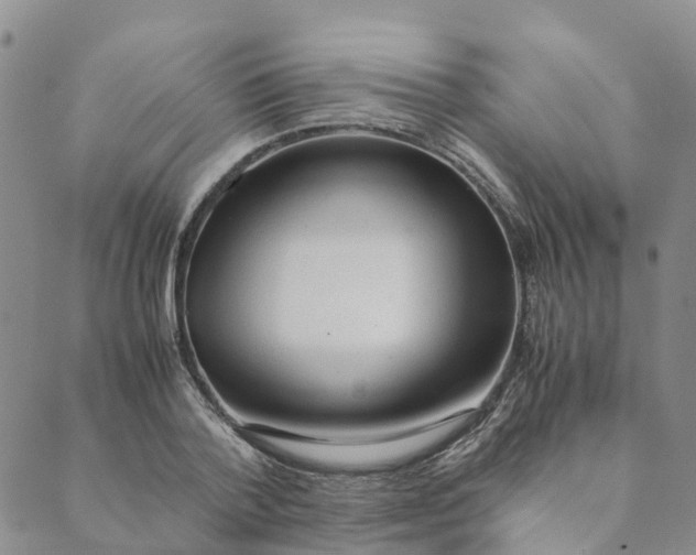 X0000089360788200707061048