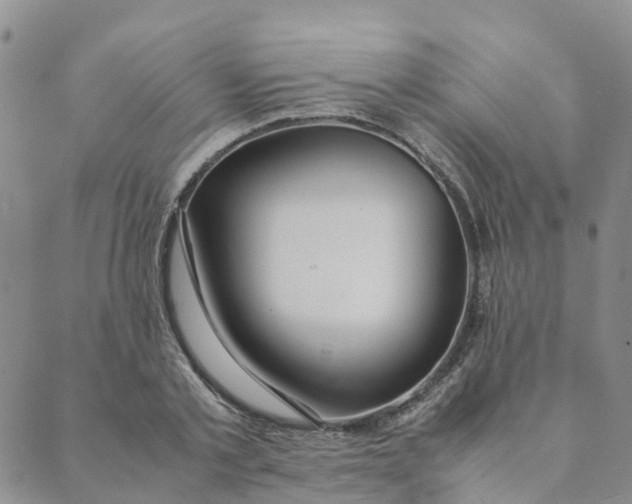 X0000089360789200707061048