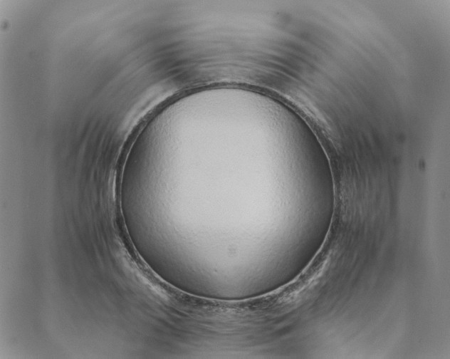 X0000089360790200707061048