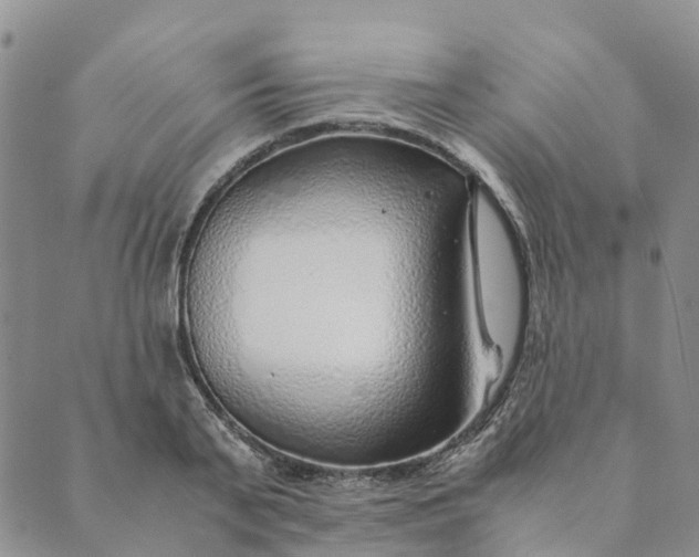 X0000089360791200707061048