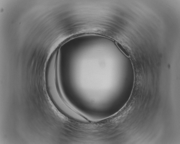 X0000089360792200707061048