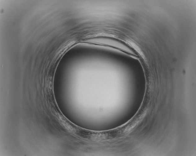 X0000089360793200707061048