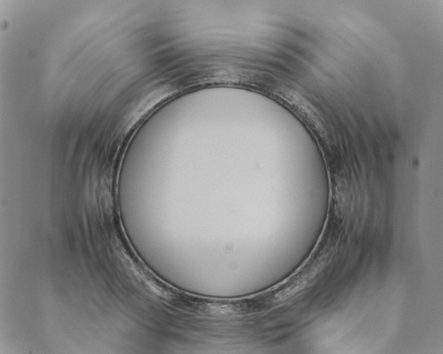 X0000089360794200707061048