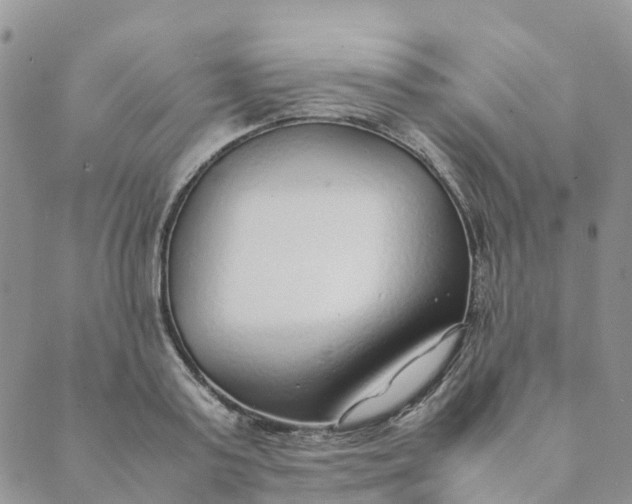 X0000089360795200707061048