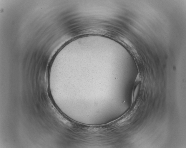 X0000089360796200707061048