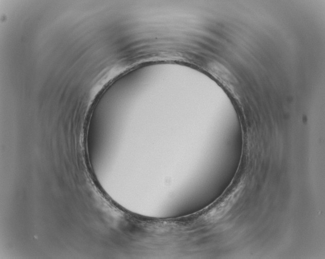 X0000089360797200707061048