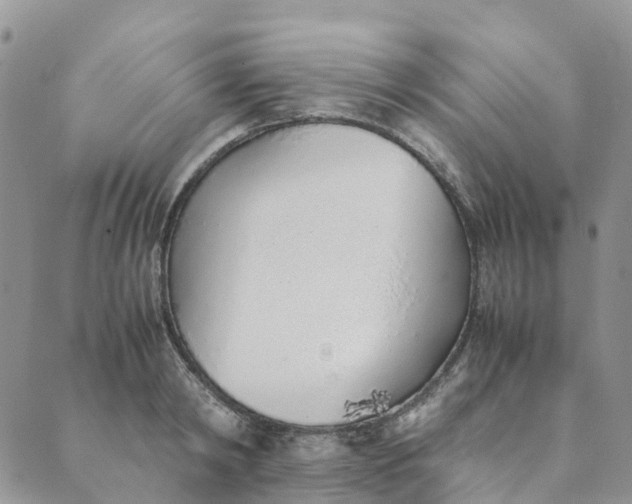 X0000089360798200707061048