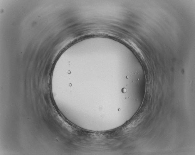 X0000089360799200707061048