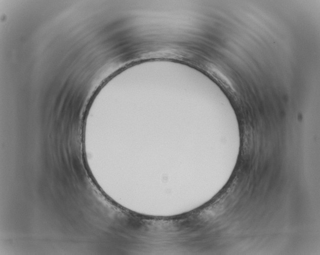 X0000089360800200707061048