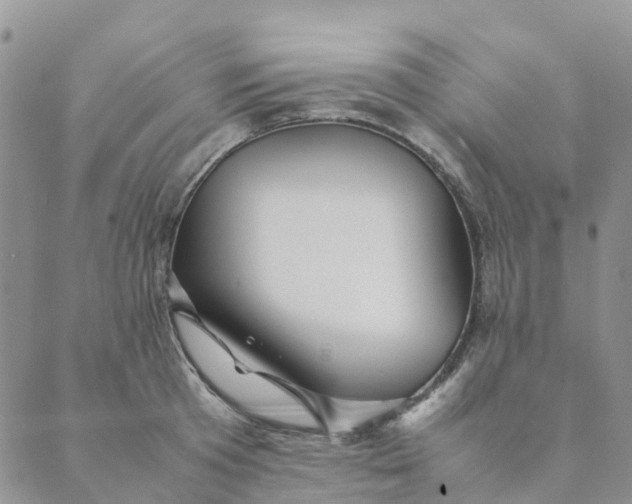 X0000089360801200707061048